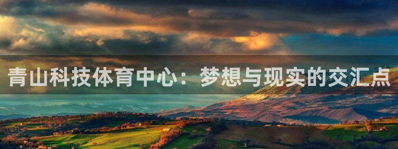 青山科技体育中心：梦想与现实的交汇点