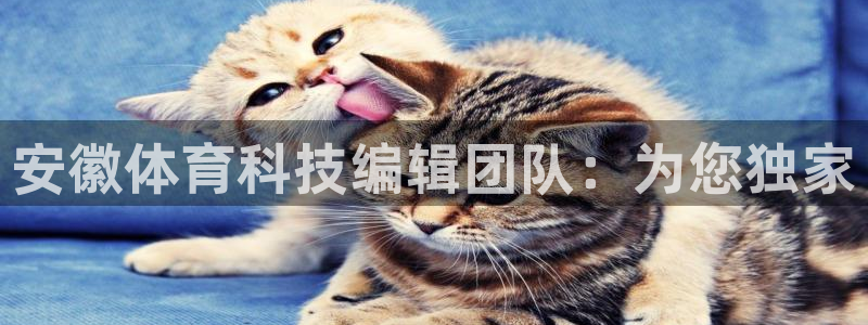 安徽体育科技编辑团队：为您独家