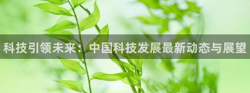 科技引领未来：中国科技发展最新动态与展望