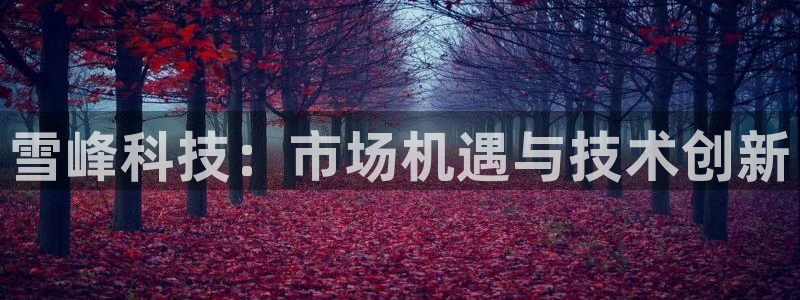 雪峰科技：市场机遇与技术创新