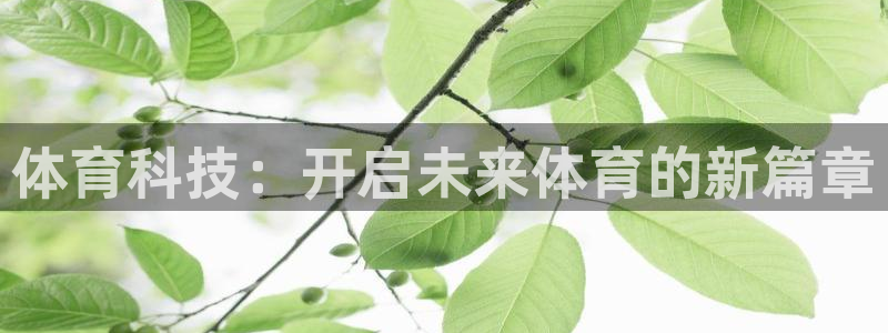 体育科技：开启未来体育的新篇章