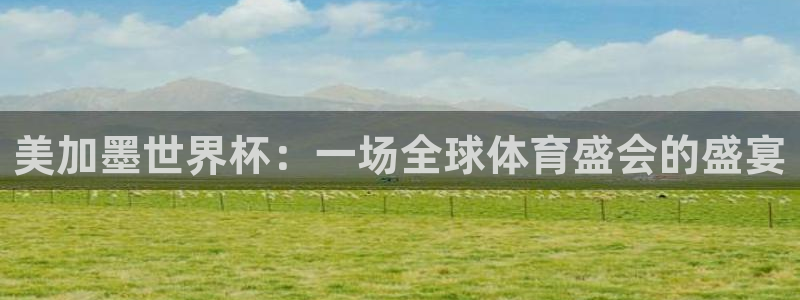 美加墨世界杯：一场全球体育盛会的盛宴