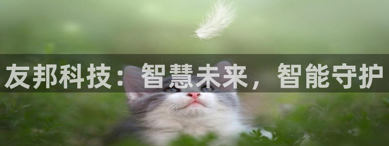 友邦科技：智慧未来，智能守护