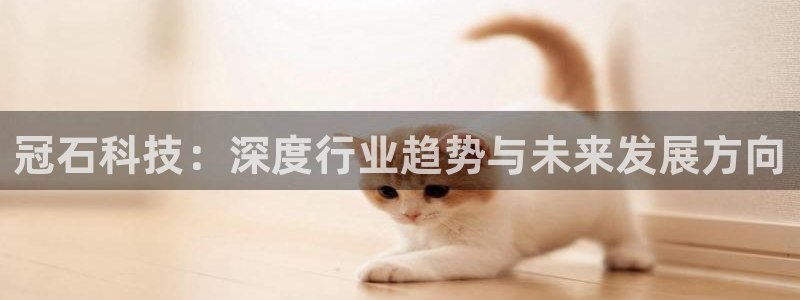 冠石科技：深度行业趋势与未来发展方向