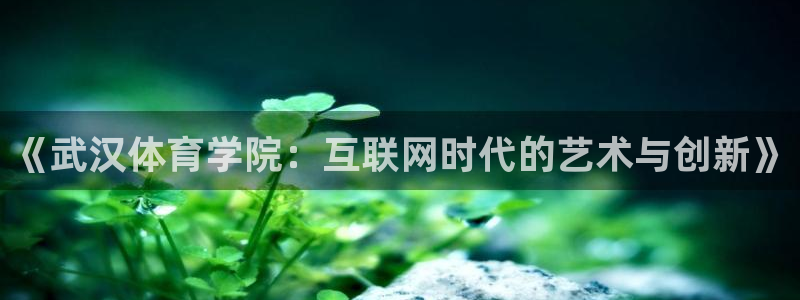 《武汉体育学院：互联网时代的艺术与创新》