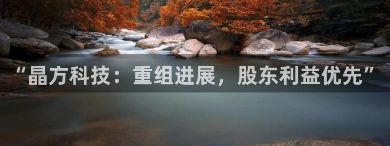 “晶方科技：重组进展，股东利益优先”