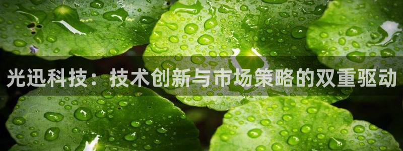 光迅科技：技术创新与市场策略的双重驱动