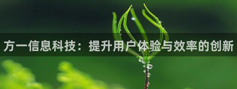 方一信息科技：提升用户体验与效率的创新