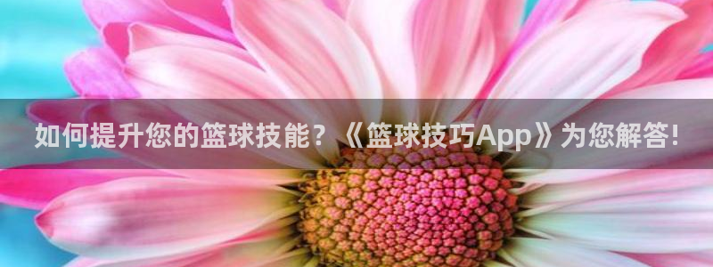 如何提升您的篮球技能？《篮球技巧App》为您解答!