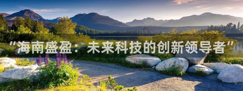 “海南盛盈：未来科技的创新领导者”