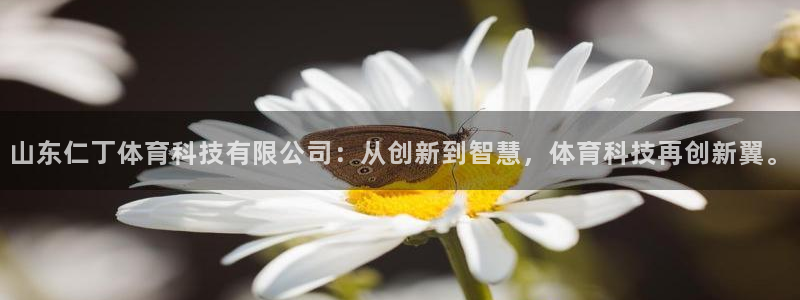 山东仁丁体育科技有限公司：从创新到智慧，体育科技再创新翼。