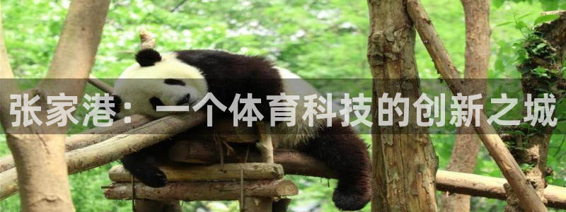 张家港：一个体育科技的创新之城