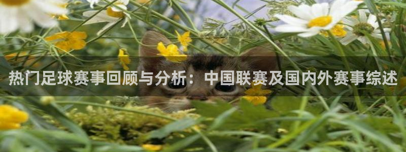 热门足球赛事回顾与分析：中国联赛及国内外赛事综述