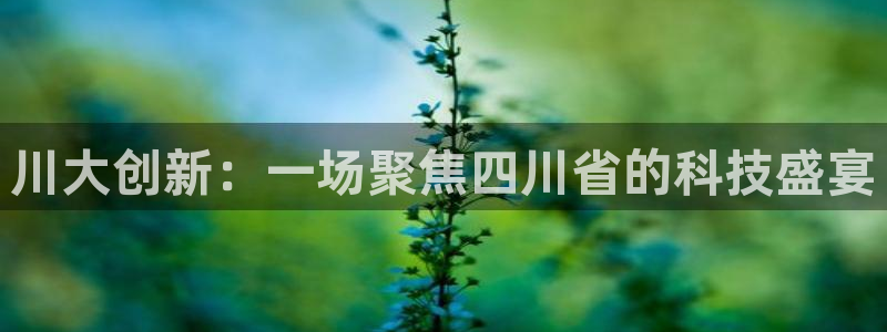 川大创新：一场聚焦四川省的科技盛宴