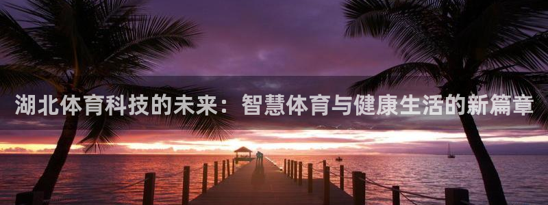 湖北体育科技的未来：智慧体育与健康生活的新篇章