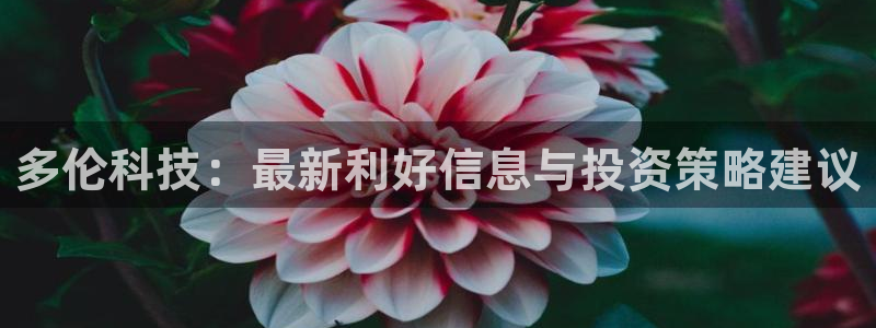 多伦科技：最新利好信息与投资策略建议