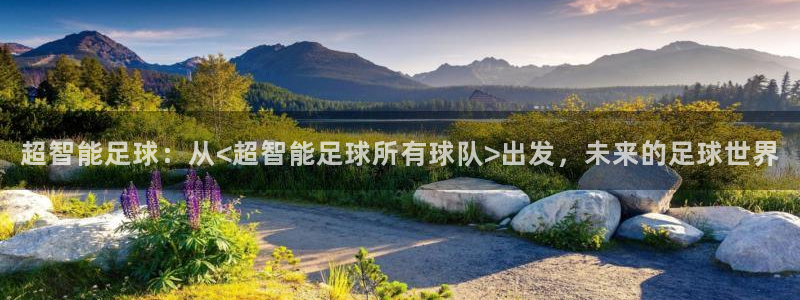 超智能足球：从<超智能足球所有球队>出发，未来的足球世界