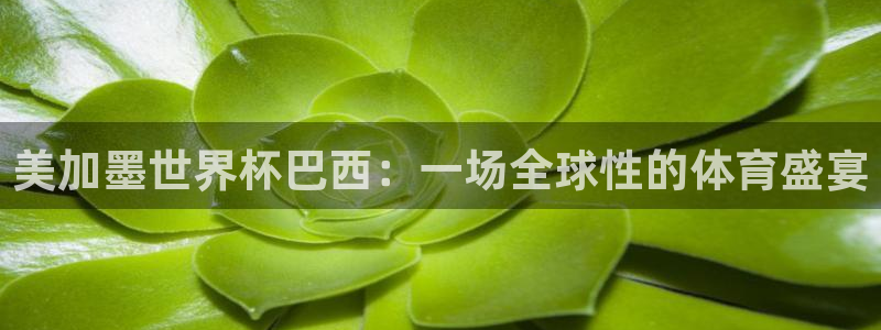美加墨世界杯巴西：一场全球性的体育盛宴