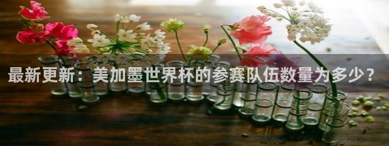 最新更新：美加墨世界杯的参赛队伍数量为多少？