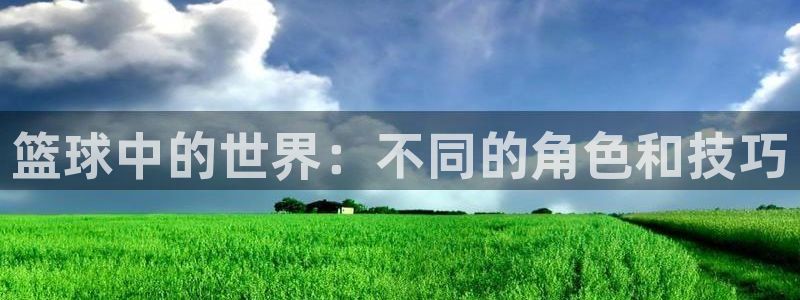 篮球中的世界：不同的角色和技巧