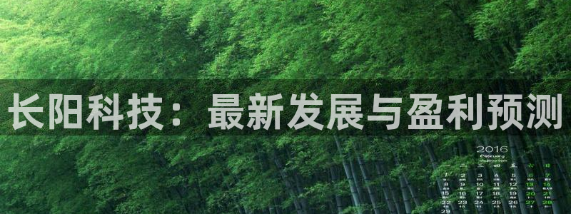长阳科技：最新发展与盈利预测