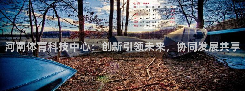 河南体育科技中心：创新引领未来，协同发展共享