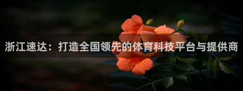 浙江速达：打造全国领先的体育科技平台与提供商