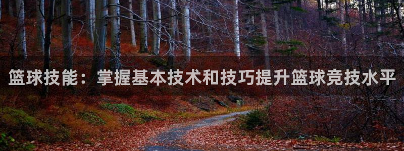 篮球技能：掌握基本技术和技巧提升篮球竞技水平
