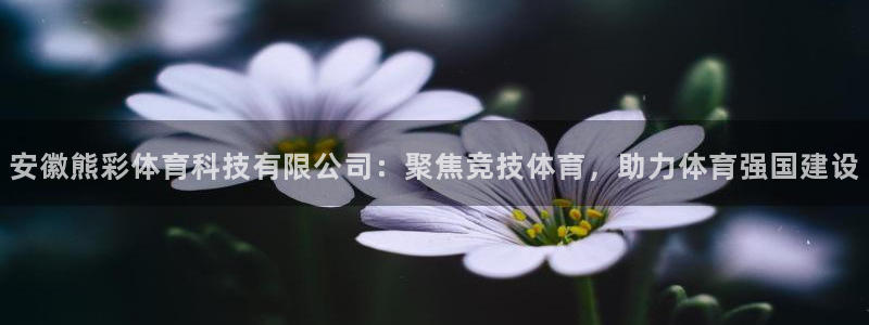 安徽熊彩体育科技有限公司：聚焦竞技体育，助力体育强国建设