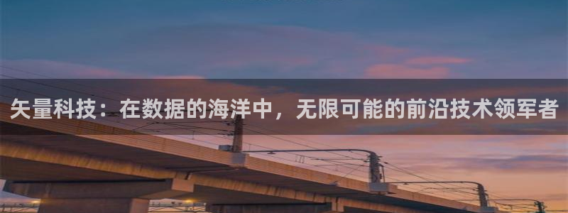 矢量科技：在数据的海洋中，无限可能的前沿技术领军者