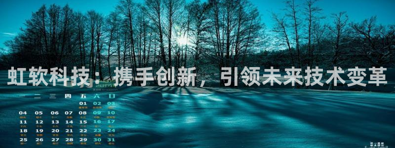 虹软科技：携手创新，引领未来技术变革