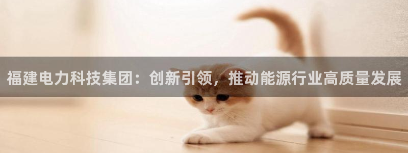 福建电力科技集团：创新引领，推动能源行业高质量发展