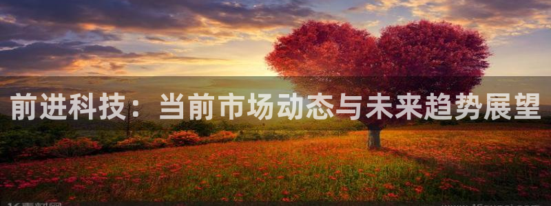 前进科技：当前市场动态与未来趋势展望