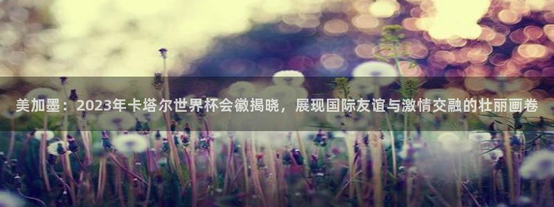 美加墨：2023年卡塔尔世界杯会徽揭晓，展现国际友谊与激情交融的壮丽画卷