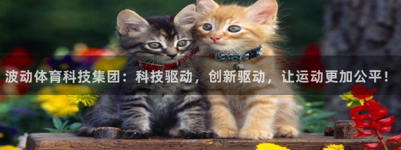 波动体育科技集团：科技驱动，创新驱动，让运动更加公平！