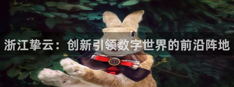 浙江挚云：创新引领数字世界的前沿阵地
