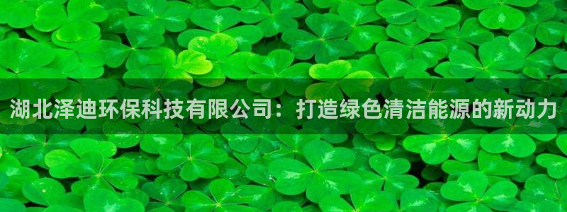 湖北泽迪环保科技有限公司：打造绿色清洁能源的新动力