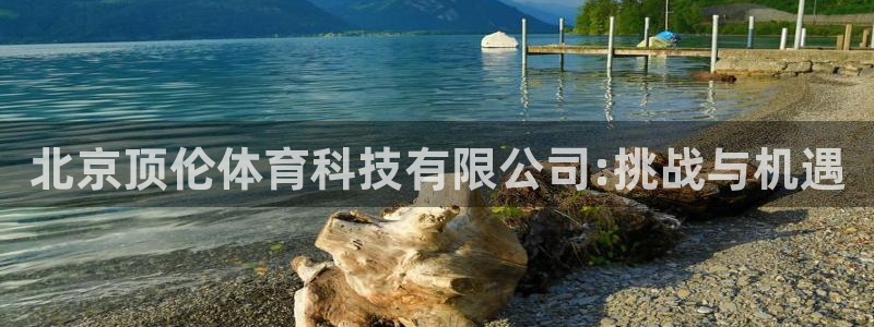 北京顶伦体育科技有限公司:挑战与机遇